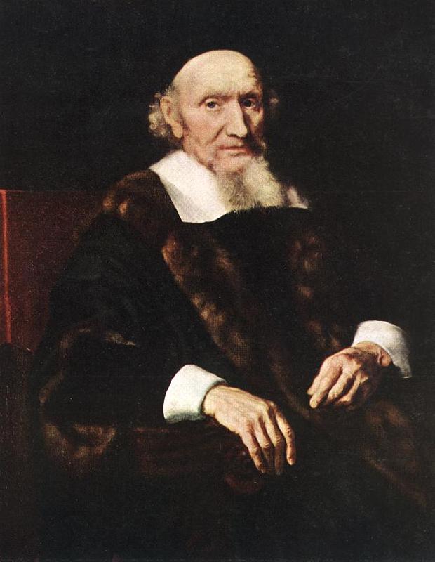 MAES, Nicolaes Portrait of Jacob Trip oil painting image